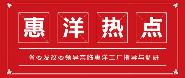 省委發(fā)改委領導親臨惠洋工廠指導與調研